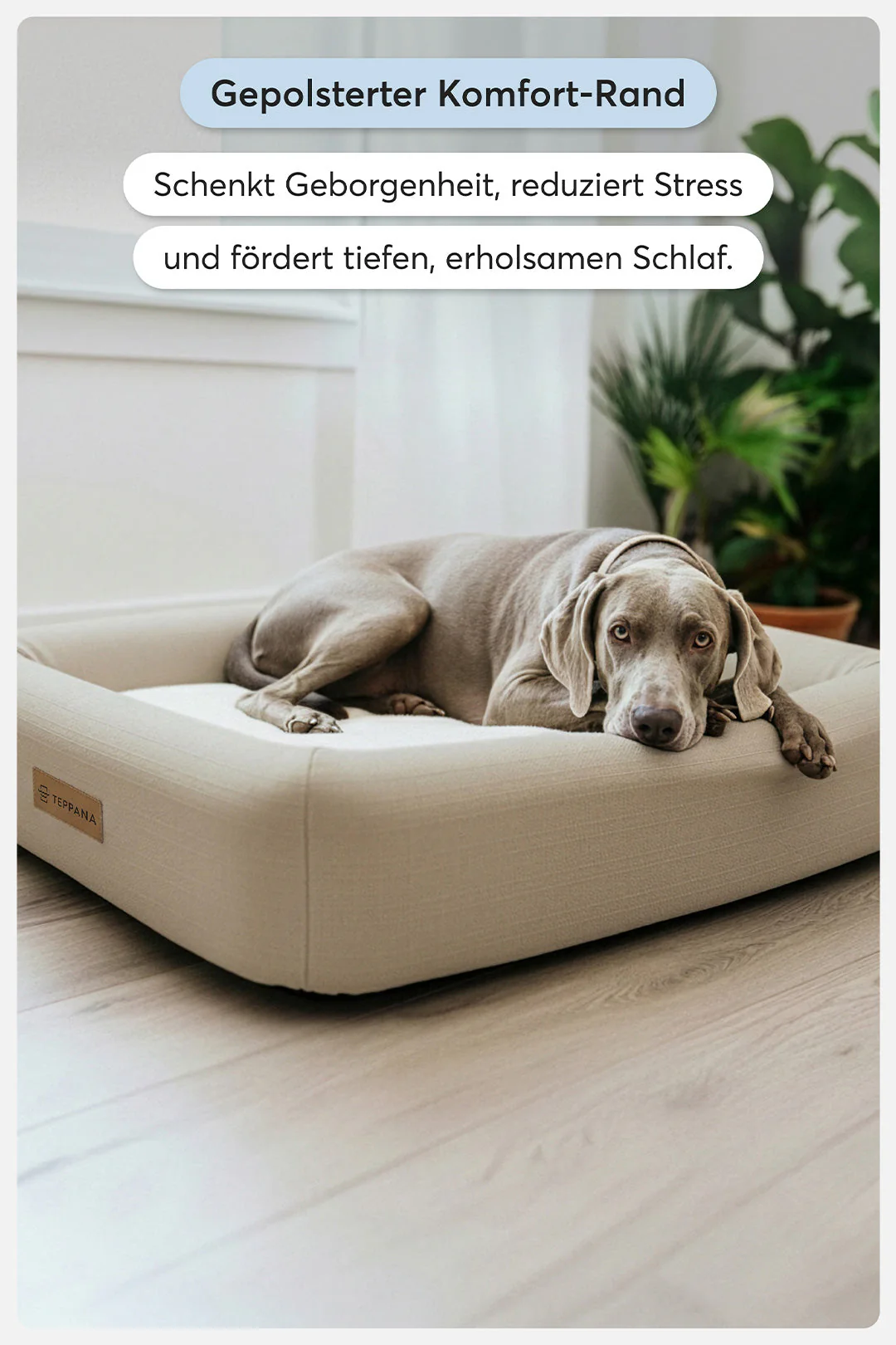 Orthopädisches Hundebett Pure Beige - Image 19